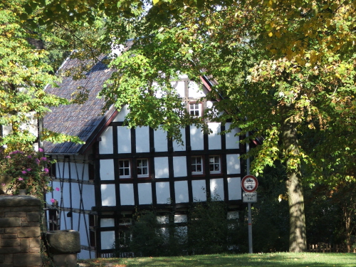 Image Image
